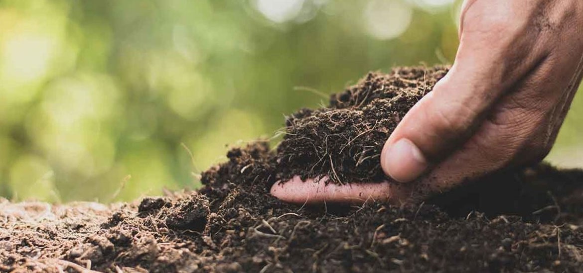 Herbal Compost Supplier